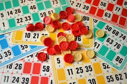 Loto – Animal’s 33