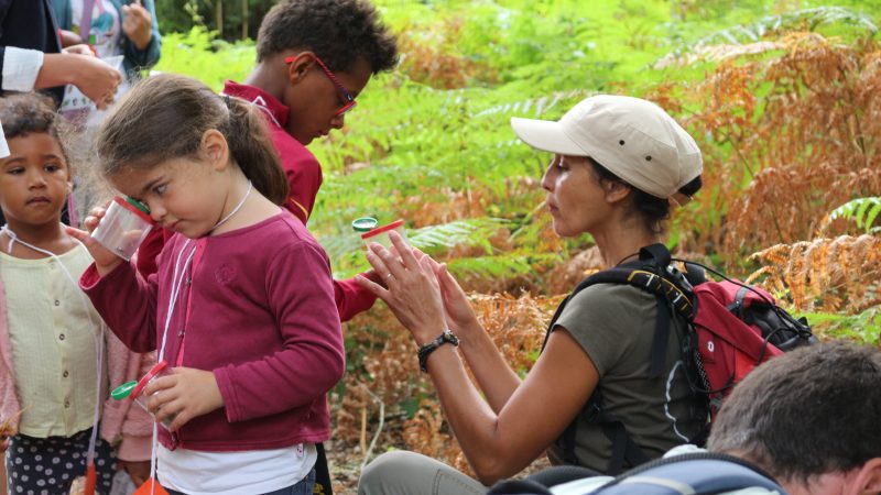 <ahref='https://www.villemios.fr/evenement/balade-les-minuscules-de-la-foret-avec-loffice-de-tourisme/' title='Balade Les Minuscules de la Forêt avec l’Office de tourisme'>Balade Les Minuscules de la Forêt avec l’Office de tourisme