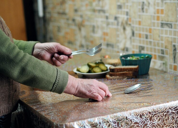 Repas des aînés