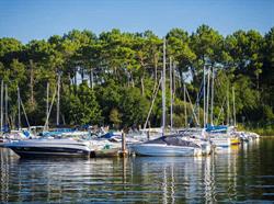 marche allure normale