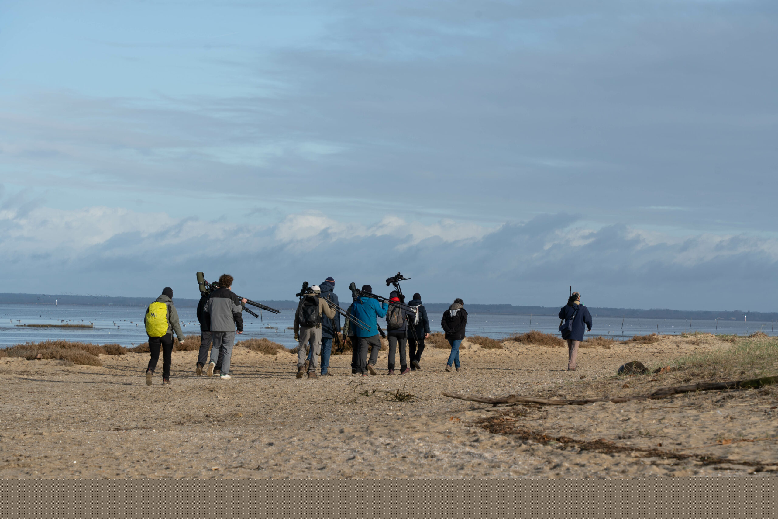 Formation aux oiseaux du littoral : weekend oiseaux migrateurs