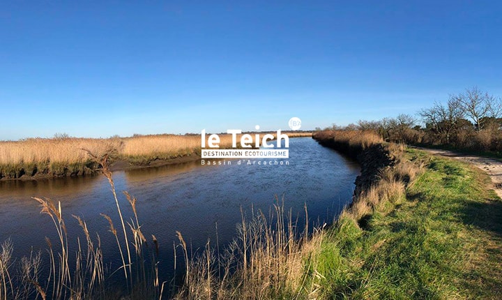 Sortie « La Traversée » en canoë avec Amazone