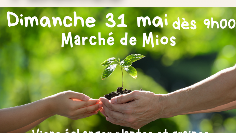 <ahref='https://www.villemios.fr/evenement/troc-plantes-et-atelier-sur-le-marche/' title='Troc Plantes et atelier sur le marché'>Troc Plantes et atelier sur le marché
